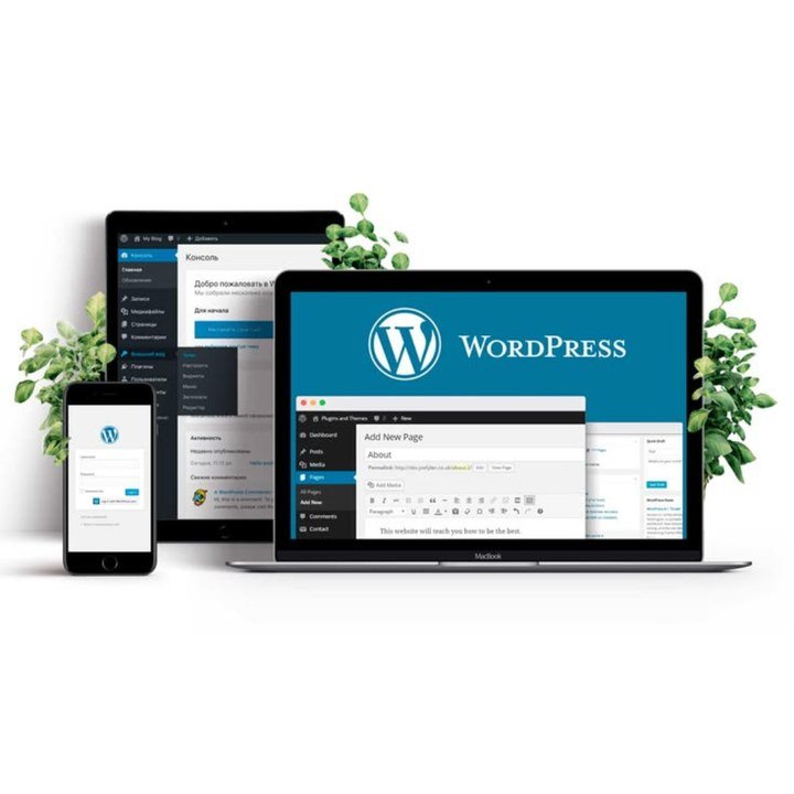 Custom web & app coding